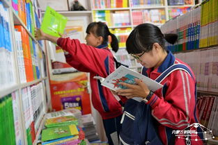 文化用品的严格检查 规范市场、保护版权和促进教育