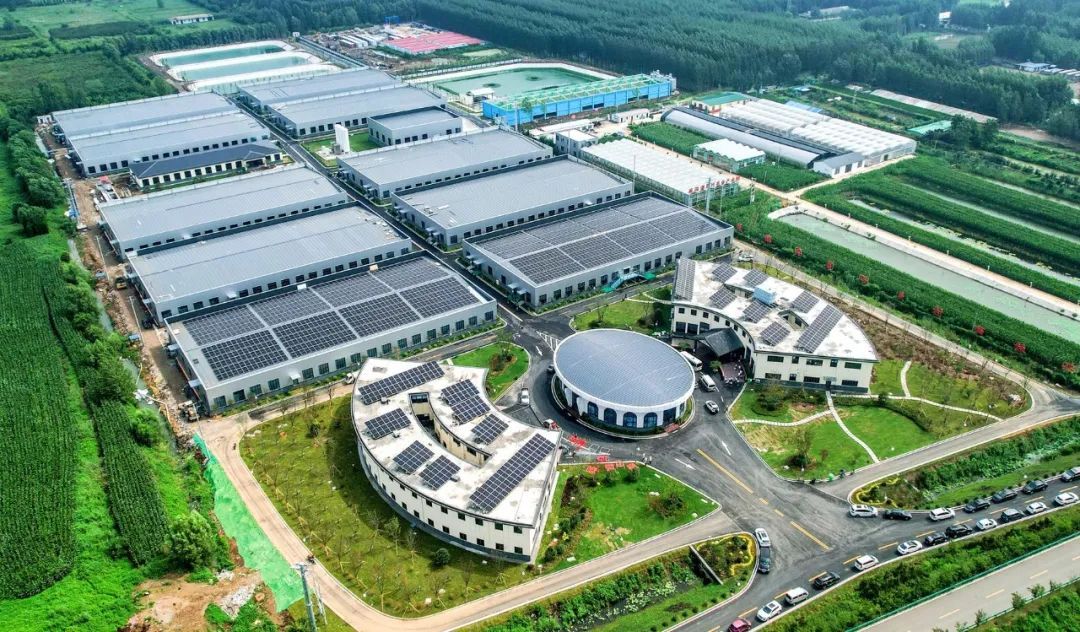 绿色低碳绘就高质量发展新画卷——全市上半年绿色低碳高质量发展暨招商引资重点项目现场观摩综述（二）